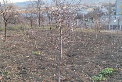 Vand teren intravilan zona Bulevardul Muncii - 2