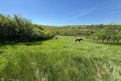 Casă cu 3 camere în Șumugiu - 1