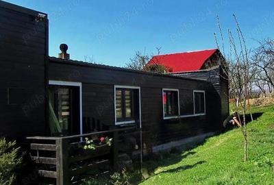 Casa de vanzare, Zona deosebita - 8