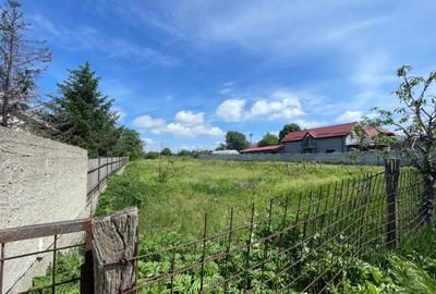 Teren intravilan 2900mp cu deschidere de 30m si cu toate utilitatile in Carcea - 2