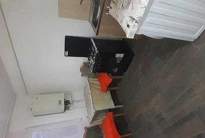 Inchiriez garsoniera zona calea Caransebesului - 3