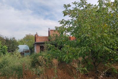 Magurele-  Constructie la structura  casa pe teren bine pozitionat - 5