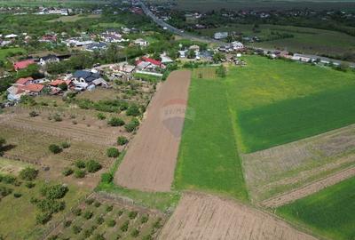 Casă individuală cu 3 camere cu Teren 5000 Mp în Popești - 3