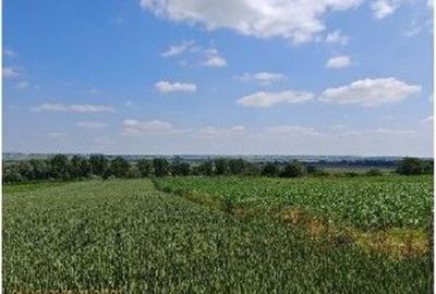 Teren de 1300 mp, în Bosanci - 7