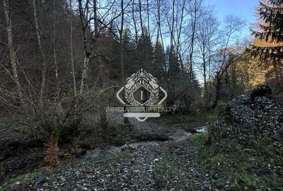 Teren 2.882 mp – oportunitate investitie - Cheile Dâmbovicioarei - 11