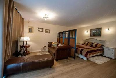 Apartament tip studio cu 1 camera | Lipovei