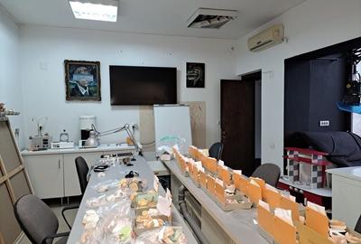 SPATIU PENTRU BIROURI, REZIDENTA SAU CLINICA CISMIGIU - 15