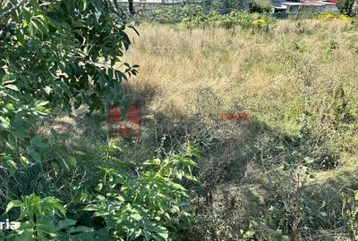 Spațiu comercial, în Central