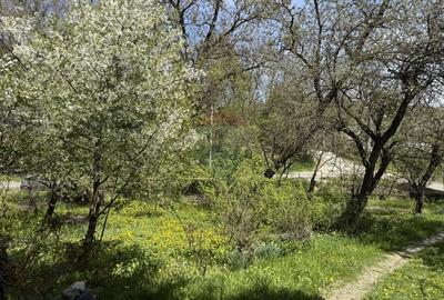 Casă individuală cu 5 camere cu Teren 3056 Mp în Sud - 18