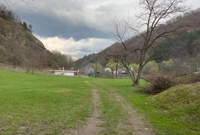 Teren de 2500 mp, în Someșu Rece - 8