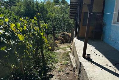 Casă cu 3 camere în Naipu - 6