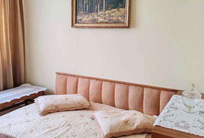 Apartament cu 2 camere decomandat în Pajura - 5