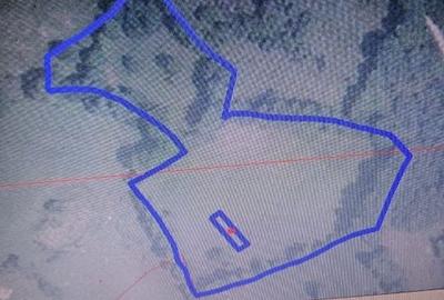 Teren de 15000 mp, în Exterior Vest - 7