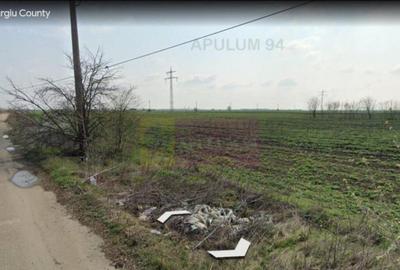 Teren 40ha Adunatii Copaceni | Industrial/ Logistic - 10