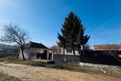 Casă cu 3 camere în Panticeu - 1