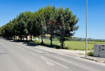 Teren intravilan 10.000 mp in Stupini, Brasov - 3