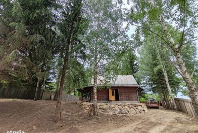 Apartament cu 3 camere în Glăjărie - 3