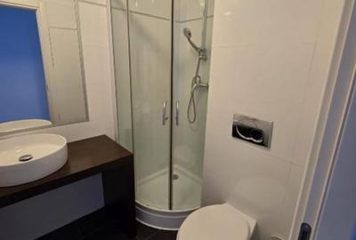 Apartament cu 5 camere decomandat, mobilat în Herăstrău - 12