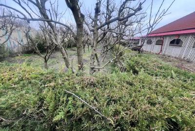Casă cu 5 camere cu Teren 1200 Mp în Negru Vodă - 9