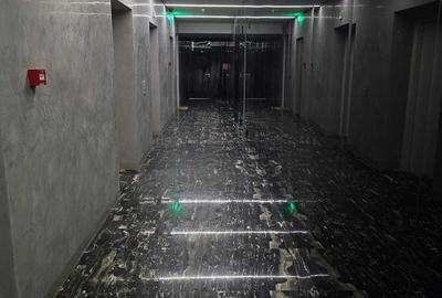 Aviatiei Herastrau Cortina North - 5