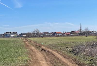 Teren Construcții intravilan de 10759 mp, în Ciorogârla - 2