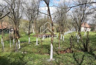 Teren de 2180 mp, în Berghin - 3
