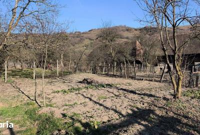 Casă cu 4 camere cu Teren 1300 Mp în Măgherani - 2