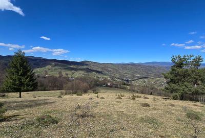 Teren de 23000 mp, în Sohodol - 2