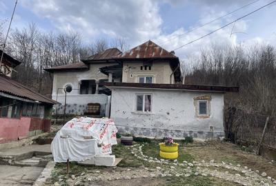 Casă cu 3 camere în Răzvad - 5