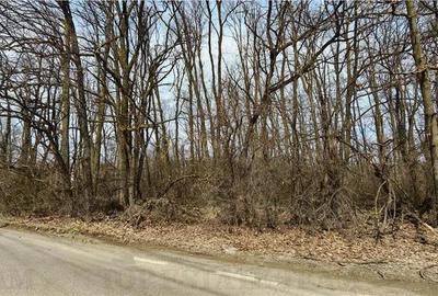 Teren de 6000 mp, în Corbeanca - 2