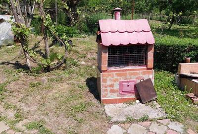 Casă cu 4 camere cu Teren 2200 Mp în Lugoj - 6