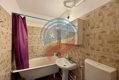 Apartament 2 camere/de vanzare/Calea Severinului - 3