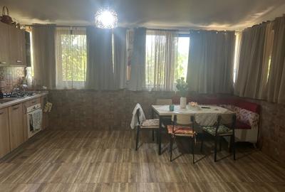 Casa individuala 288mp + 1.100 mp curte - An constructie 2025 - 19