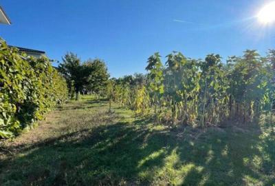 Casa individuala + anexa si gospodarie , 247 mp , 3 nivele, Casa individuala + anexa si gospodarie , 247 mp , 3 nivele, - 14