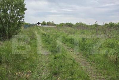 Teren extravilan, de vanzare, 4300 mp, zona Amati - 3