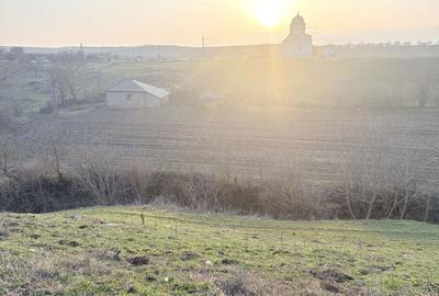 Casă cu 4 camere cu Teren 6294 Mp în Cerbu - 3