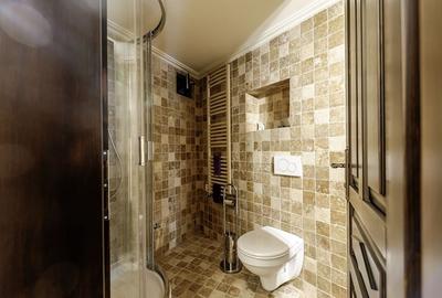 Spațiu premium pentru birouri de închiriat pe Strada Vasile Alecsandri Spațiu premium pentru birouri de închiriat pe Strada Vasile Alecsandri - 9