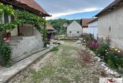 Vanzare casa in Henig -1100 mp teren - 3