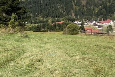 Spațiu comercial, în Șaru Dornei - 4