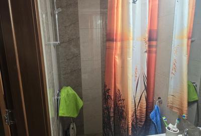 Apartament cu 2 camere decomandat în Mogoșoaia - 4