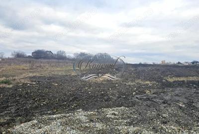 Teren in curs de autorizare in Faget - 5