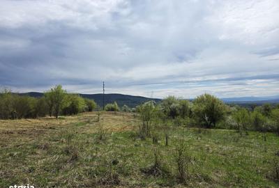 Teren de 6704 mp, în Hărău - 8