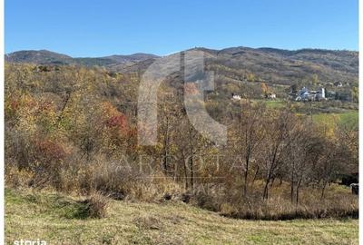 Spațiu comercial, în Valea Banului - 2