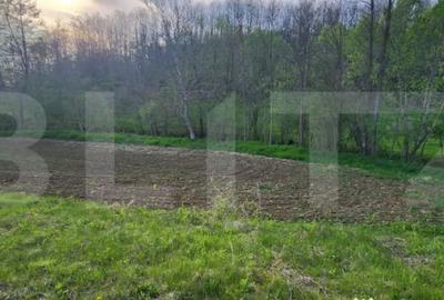 Teren de 6659 mp, în Nisipoasa - 7