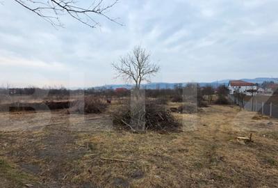 Doua case de vanzare, curte comuna, 4 camer 110mp, 50 ari - 5