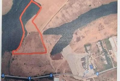 Teren de 10000 mp, în Sud - 1