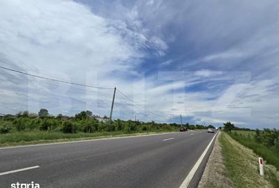 Teren de 3000 mp, în Produlești - 5