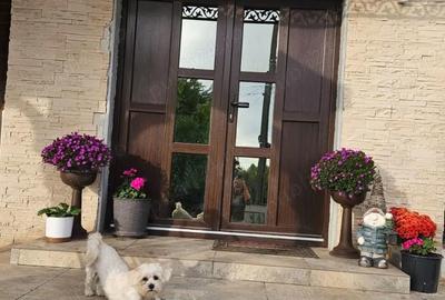 Casă cu Teren 500 Mp în Șendreni - 1