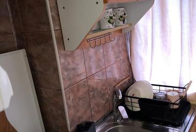 Apartament cu 2 camere decomandat în Sud - 4