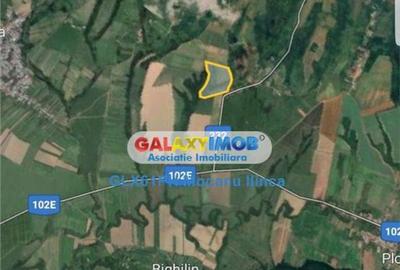 Teren 60000 mp, in Plopu, la 10 km de Ploiesti - 9